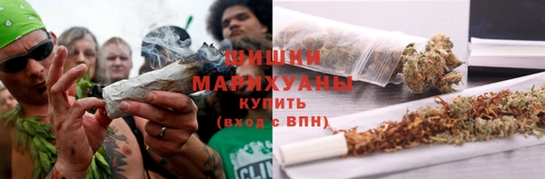 индика Белоозёрский