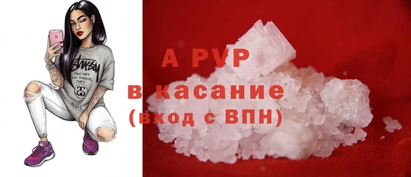 индика Белоозёрский