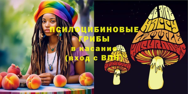 индика Белоозёрский