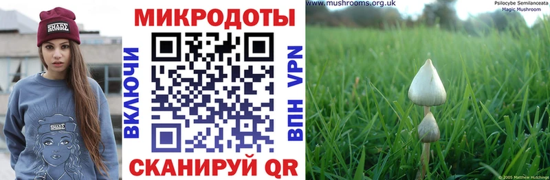 Псилоцибиновые грибы Psilocybe  Купить где  Североморск 